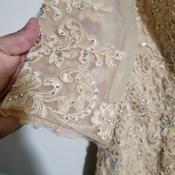 Champagne Color Wedding Gown Size XS/S Petite - Picture 8 of 12